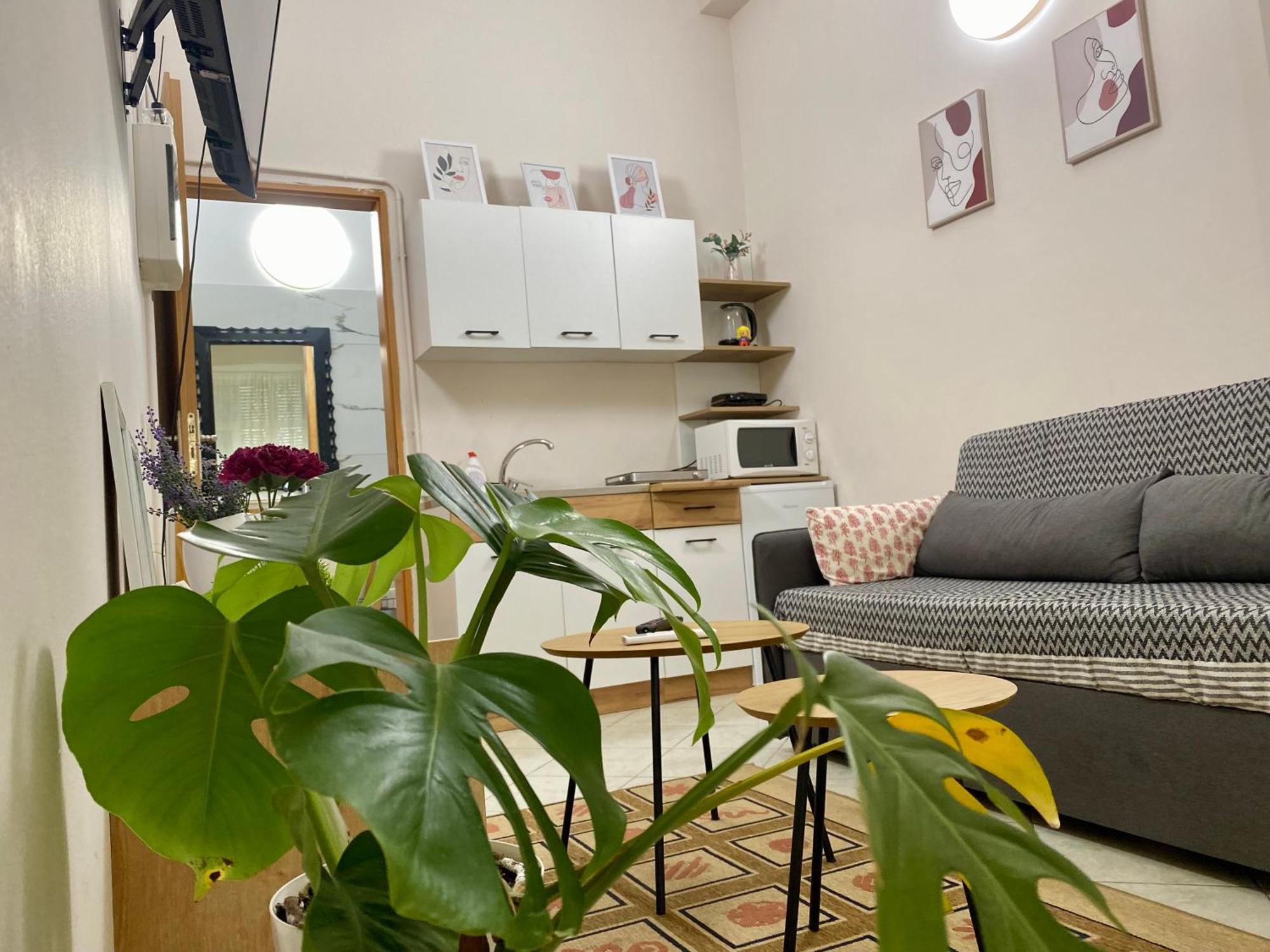 Dori'S Wilson Studio At Blloku Neighborhood Tirana Exteriér fotografie